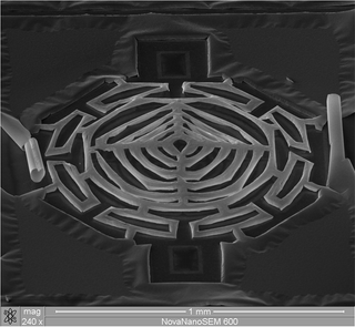 Illustration for article titled Nanometer-Wide PicoToilet, Plus a Gallery of Micrographs